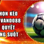 cách chọn kèo bóng đá VanDo88