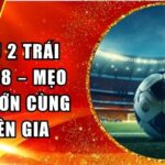 Tài xỉu 2 trái VanDo88